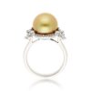 Pearl RingStyle #: PD-LQ21182L