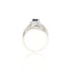 Sapphire Fashion RingStyle #: PD-LQ8481L