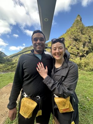 hawaii proposal