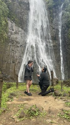 hawaii proposal