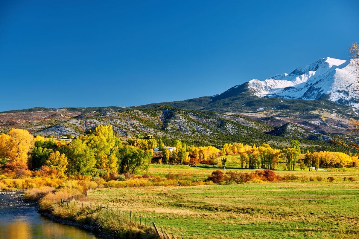 colorado fall proposal