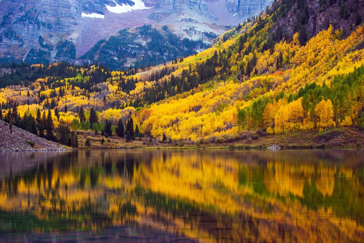 colorado fall proposal