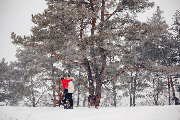 winter proposal ideas